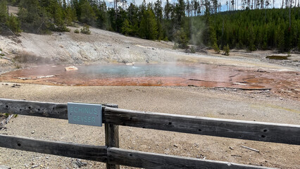 Fototapeta na wymiar Echinus Geyser in Norris Geyser Basin in Yellowstone National Park