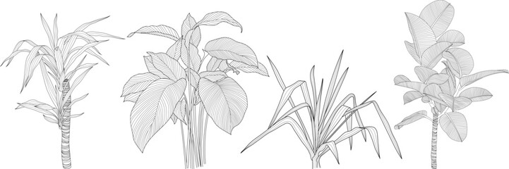Obraz premium Leaves isolated on white collection. Tropical leaves set. Hand drawn abstract illustration.