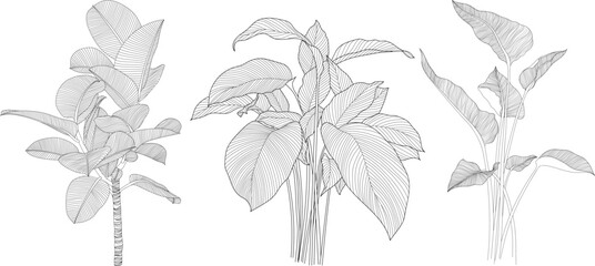 Leaves isolated on white collection. Tropical leaves set. Hand drawn abstract illustration. © ARTSTOK