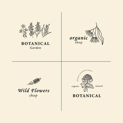 Line art Australian flower logo collection