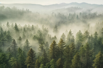 Foggy pine forest view from above Generative AI