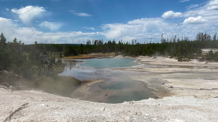 Norris Geyser Basin in Yellowstone National Park