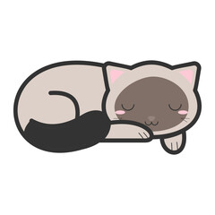 Cat Sleep Illustration