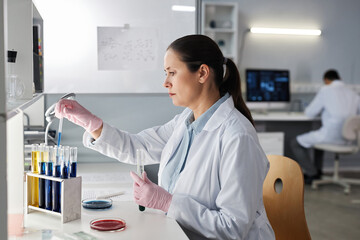 Side view portrait of female scientist doing tests at workstation in modern laboratory, copy space