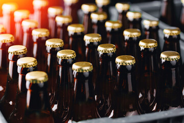 Glass bottles of beer on dark background with sun light. Brewery plant production line