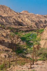 green oasis with palm trees and river in the middle of a desert canyon