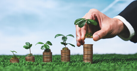 Corporate business invests in environmental subsidies with hand grow seedlings on coin stack for...