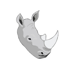 The nature and wild animals face front of the white background