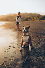 woman walking with her dog on the beach
