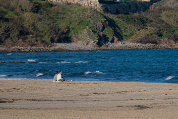Personas sentadas en una playa