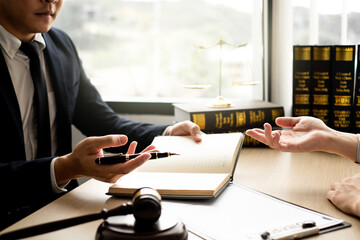 The lawyer and client discuss the lawsuit, analyze facts, explore legal options, and plan their...