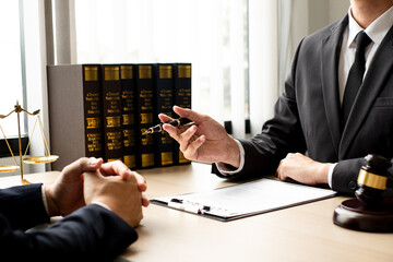 The lawyer and client discuss the lawsuit, analyze facts, explore legal options, and plan their...