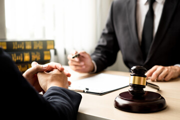 The lawyer and client discuss the lawsuit, analyze facts, explore legal options, and plan their...