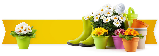 Gardening tool equipment, banner with copy space. Rubber boots, daisies, pot, flowers and watering can isolated on white background. Shopping advertising template for florist shop or greenhouse