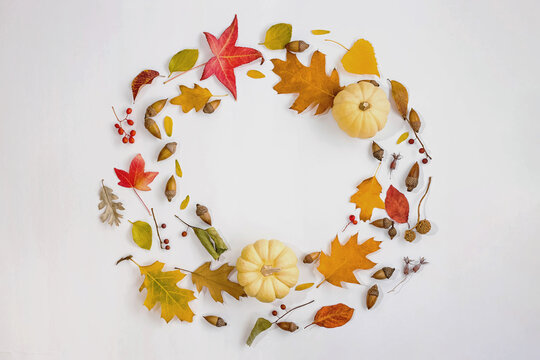 Creative circle frame arranged of leaves, pumpkins and acorns. Autumn season