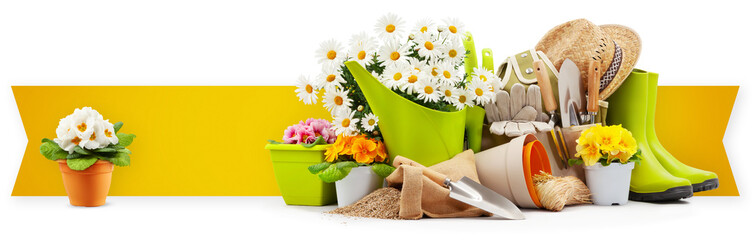 Gardening tool equipment, banner with copy space. Rubber boots, daisies, pot, flowers and watering...