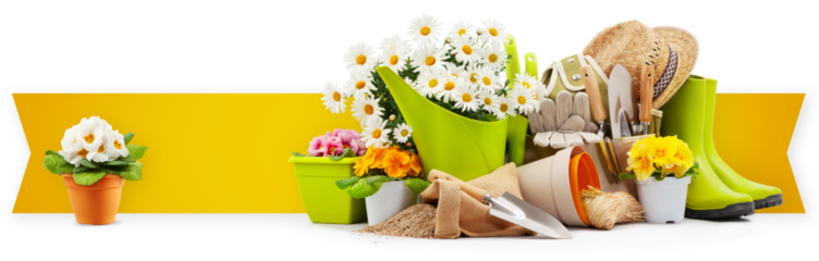Gardening tool equipment, banner with copy space. Rubber boots, daisies, pot, flowers and watering can isolated on white background. Shopping advertising template for florist shop or greenhouse