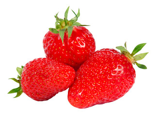 Fraises