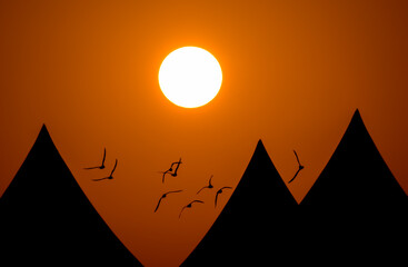 birds silhouette