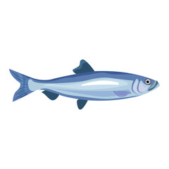 Herring fish seafood vector illustration