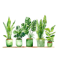 Fototapeta premium Green potted flowers arranged in a row next to each other, watercolor style illustration perfect for invitations or posters. Generative ai