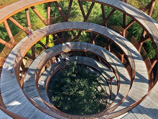 Skavtornet Camp adventure