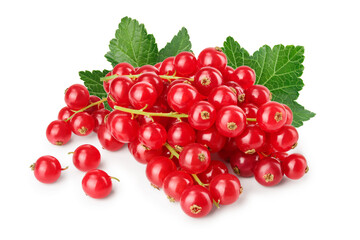 Red currant berry isolated on white background