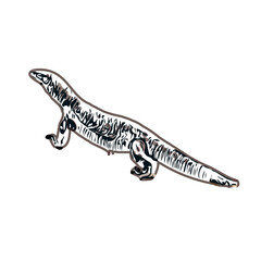 sketch of lizard with transparent background