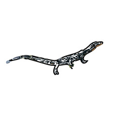 sketch of lizard with transparent background