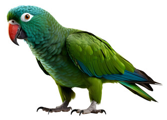 Green parrot macaw isolated on the transparent background PNG. AI generative.