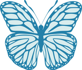 Design of butterfly draw