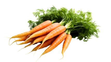 Fresh carrots isolated on transparent background png