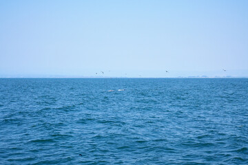 Sailing in Monterey, California on a beautiful day