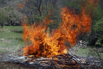 fuego grande controlado para la quema de arbustos y prevención de incendios