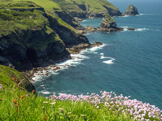 The beautiful coastal path at Boscastle on the North Cornish coast.