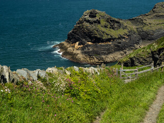 The beautiful coastal path at Boscastle on the North Cornish coast.
