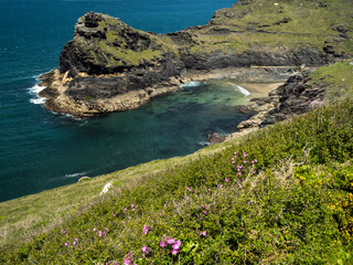 The beautiful coastal path at Boscastle on the North Cornish coast.