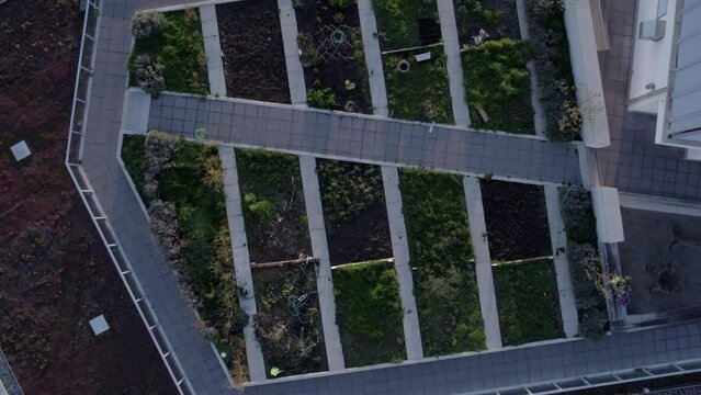 Aerial tilt down shot onto condo rooftop garden - from above