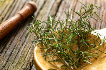 fresh organic freshly picked rosemary with dew or rain drops on top of rustic farmhouse wooden table, selective focus