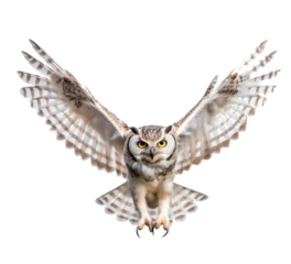 Poster Owl isolated on the transparent background PNG. AI generative.  © Monika