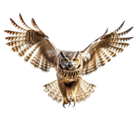 Owl isolated on the transparent background PNG. AI generative. 