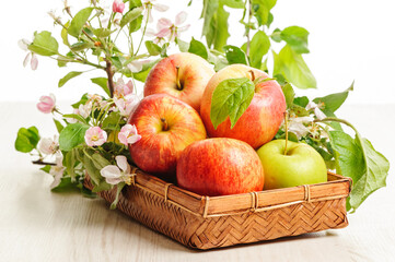 Apples in a wooden basket on white
