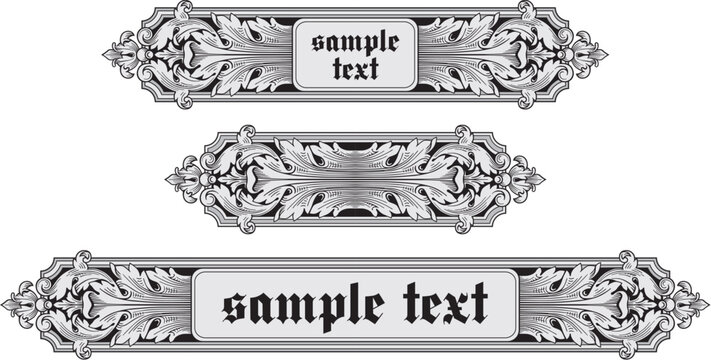 Ornate banner vector