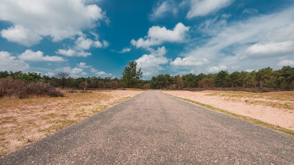 An asphalt road leading to the horizon, under a blue sky with clouds, in The Loonse and Drunense Duinen National Park