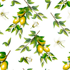 Watercolor seamless pattern lemon tree branch. Hand drawn botanical illustration of yellow citrus fruits isolated on transparent background. Clipart objects for design and decoration