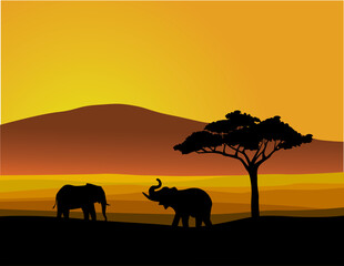 Naklejka na ściany i meble Sunset wildlife Africa