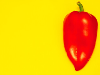 one lovely, delicious, yummy, appetizing red capsicum annuum on a yellow background. closeup. fon. blank designer. package. wallpaper. botanical. copy space. mock up