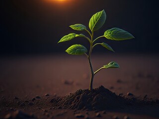 small tree growing with sunrise. green world and earth day concept, ai generative
