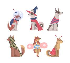 Funny Dog Wearing Costume and Clothing Vector Set