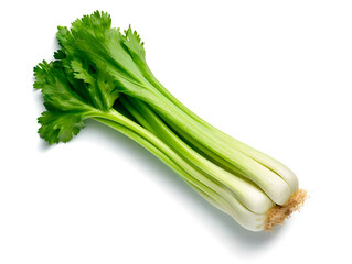 a bunch of fresh celery on a white background, natural organic greenery, healthy and wholesome food. Generative Ai